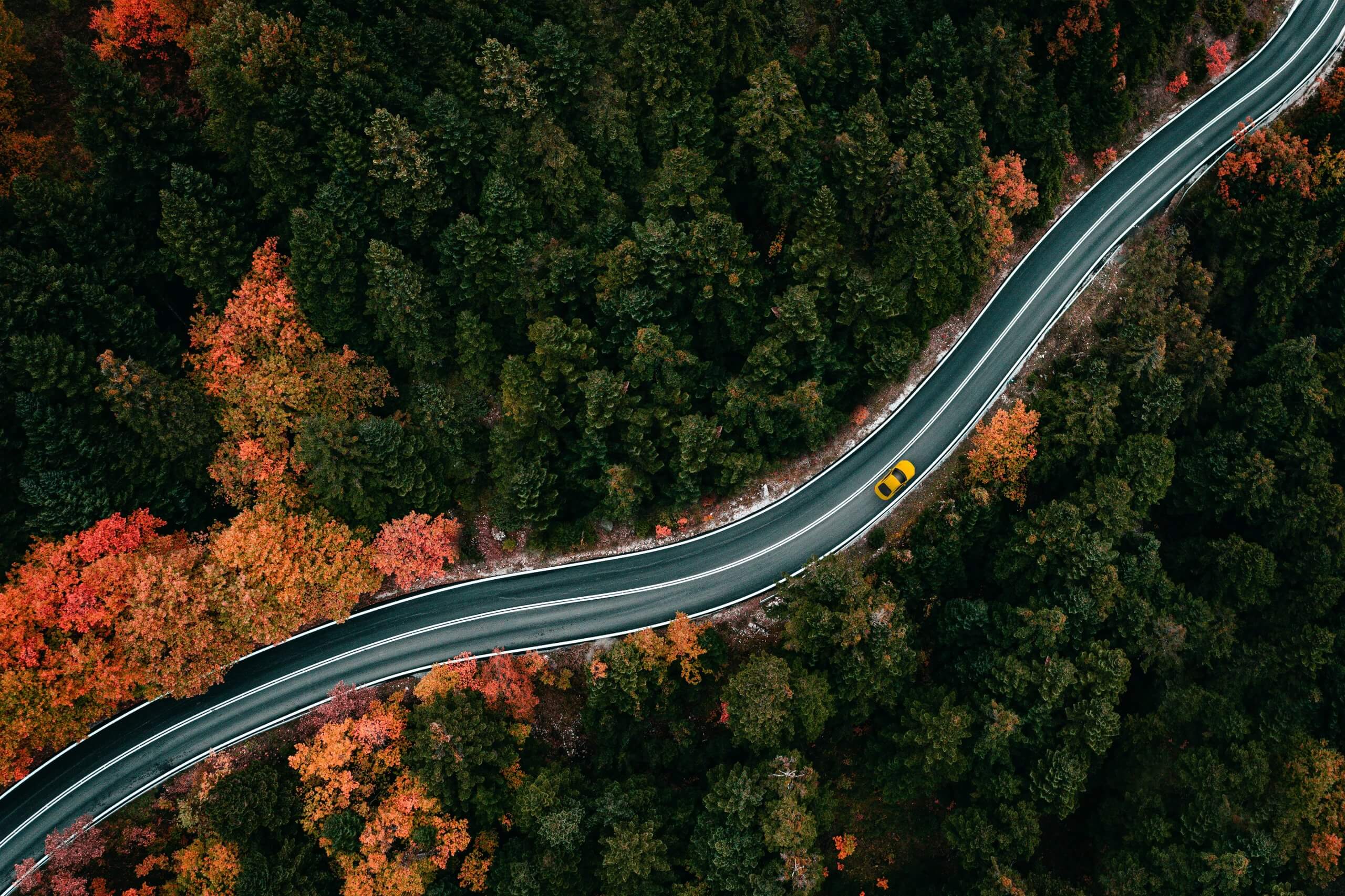 A picture of a highway in fall.